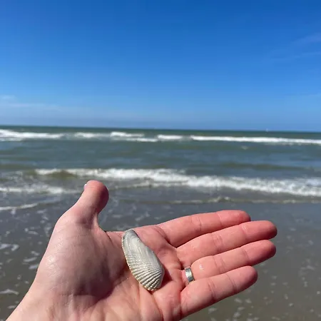 6 Bedrooms * De Panne